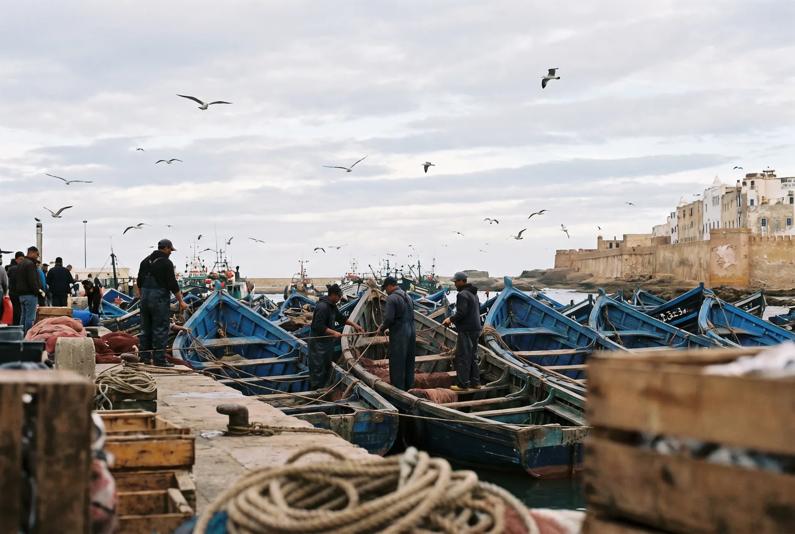 Barques bleues du port d'Essaouira